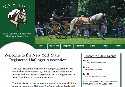 New York State Registered Haflinger Association